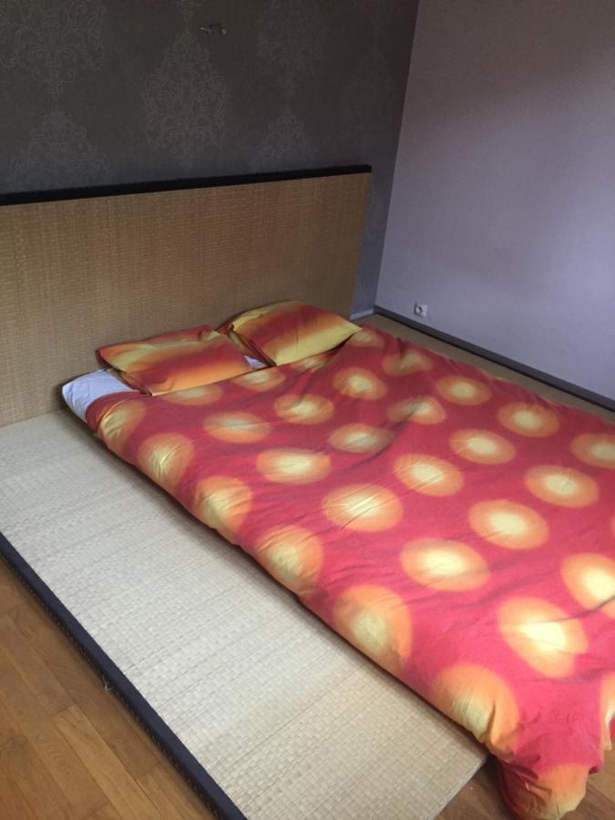 Chambre Double Futon Et Chambre Classique Au Coeur Du Vercors Saint-Agnan-en-Vercors Zewnętrze zdjęcie